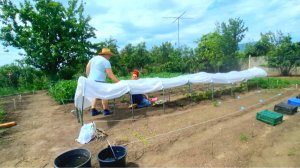 483 🏠 Жизнь в станице на юге. Что у нас произошло. Мы могли бы потерять Всех. Опять посадки.