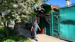 Цветущий апрель. Курск.