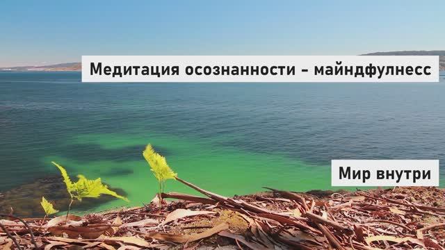 Утренняя медитация 3 минуты | Медитация осознанности - майндфулнесс | Медитация для начинающих