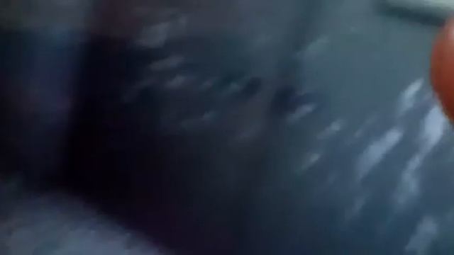 Чарли играсмешной очень
