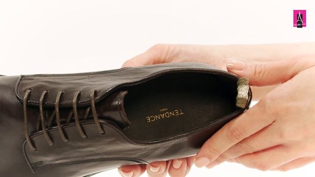 4267351 Видеообзор I Мужские дерби TENDANCE смотреть онлайн