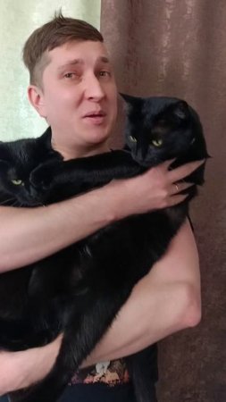 Вот такие шторы!)
