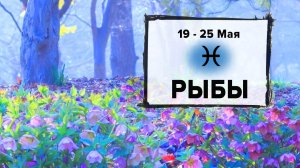РЫБЫ ♓ 19 - 25 Мая 2025 | Расклад таро на неделю для знака Зодиака Рыбы