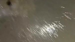 Тропарёво парк. Убитый колодец в болоте вернули к жизни. podkapaev.ru