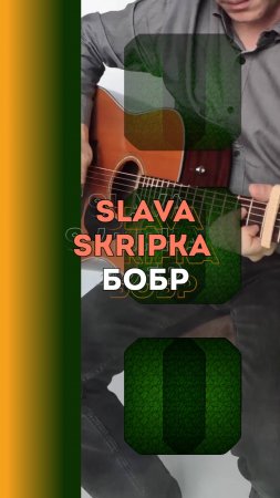 SLAVA SKRIPKA - Бобр | Фингерстайл на электроакустике