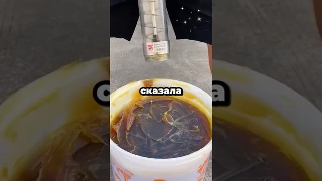 история
