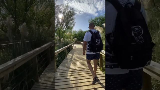 Экологический заповедник в Районе Пуэрто Модеро Буенос Айресе смотреть онлайн