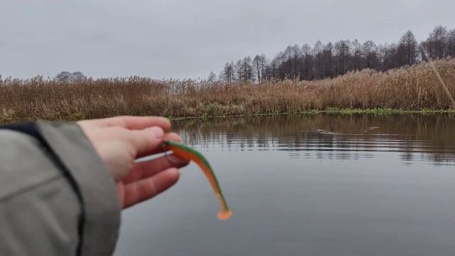 Поиск трофейной щуки поздней осенью на реке Птичь
