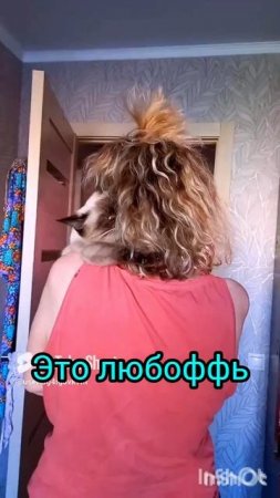 Это 💖Любоффь🐱💖#прикольные котики #смешные коты #кошка Ладушка #видосыоткота