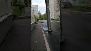 Интересные места Невского района
если еще не видели