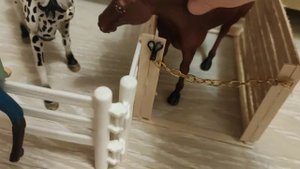 типы всадников шляйх 🐴🐎