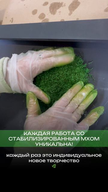 Начальный этап создания картины из мха