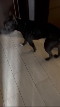 Ворлд. Шереметьевский приют. Дома
