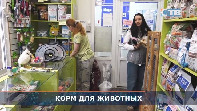 09.01.2025 Итоги акции «Сытый Новый год» в Ленинградской о? смотреть онлайн