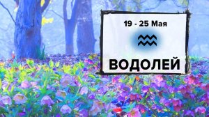 ВОДОЛЕЙ ♒ 19 - 25 Мая 2025 | Расклад таро на неделю для знака Зодиака Водолей