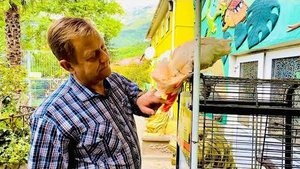 Олег Зубков рассказывает как СПАСАЛИ ЖИВОТНЫХ во время лесного пожара в Ялте!