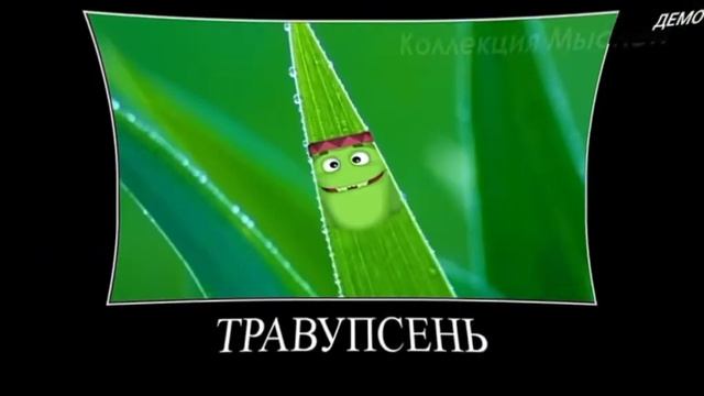 лунтик ШИЗА