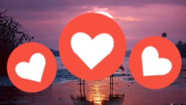 ЦЕНИ МОМЕНТЫ  - Клипы для Души ТОП-10 Music Videos #русские_пес