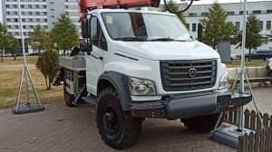 АВТОГИДРОПОДЪЕМНИК ТЕЛЕСКОПИЧЕСКИЙ PALFINGER P180T EVO на шас