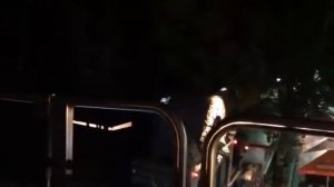 Одесса парк Шевченко колесо обозрения