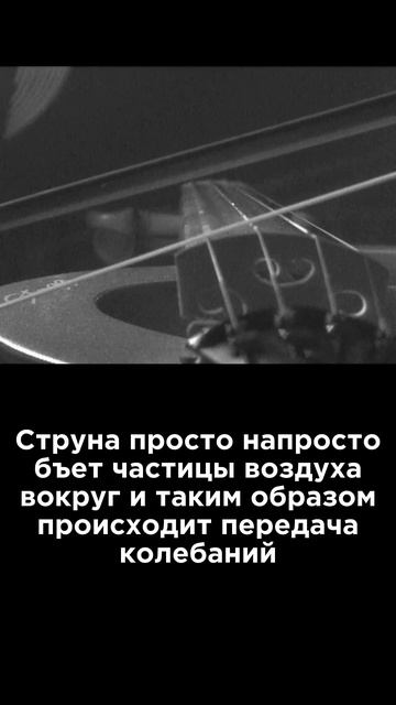 Ультракоротко ⏱️ Струна как источник волн #Наука #Физика #Интересно #Юмор смотреть онлайн
