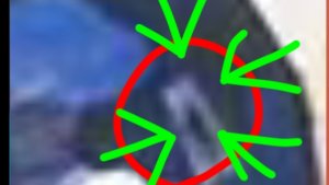 Видео Про ВредноБлога И Балди В Лайке #2 (+ Бонус)