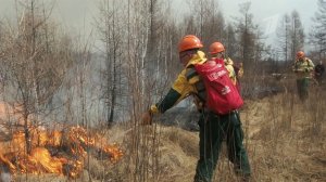Природные пожары тушат в семи российских регионах на площади почти 670 тысяч гектаров