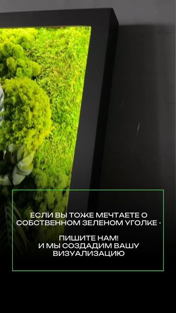 Картина из стабилизированного мха и растений