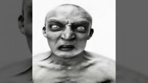 Я не машина