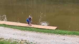 Forest Fishing 17.05.25