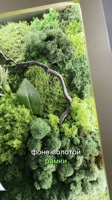 Картина из стабилизированного мха с подсветкой