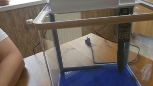 Обзор аквариума Barbus Aquarium 031