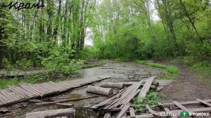 DJI NEO FPV Михайловская роща, Томск.