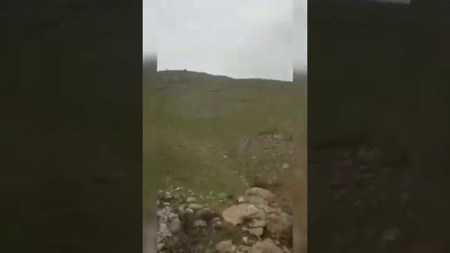 31 марта 2023 г. смотреть онлайн