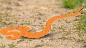 Топ 10 самых больших змей в мире. Длинные, сильные и оче?