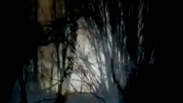 The Vampire Diaries Дневники вампира  Плохой Деймон Жутковато by lovenot