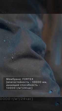 asset_2_h264