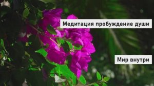 Медитация Пробуждение Души
