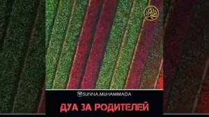 Дуо барои падару модар хатман омин гуед