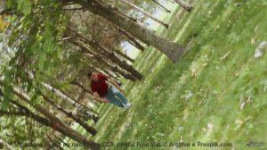 Зимняя сказка с волшебным звуком! - Bagan Party -- Fourmi -- LAlunissage des fragilos