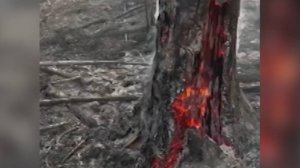 В Забайкалье природные пожары угрожают населённым пунктам / События на ТВЦ