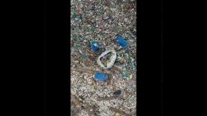 Сохраним красоту нашей природы