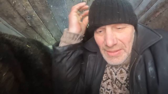 Медведям нравятся валенки. смотреть онлайн