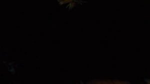 7 Психопатов(Гоблин)