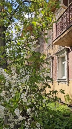 дом художника в городе Рыбинск
