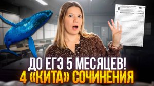 Меньше 2х недель до ЕГЭ! Что делать с сочинением?!