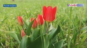 СЕВЕРНЫЙ ЧЕЛОВЕК  (ВЛАД СВИРИДОВ) ????#новости  #северный