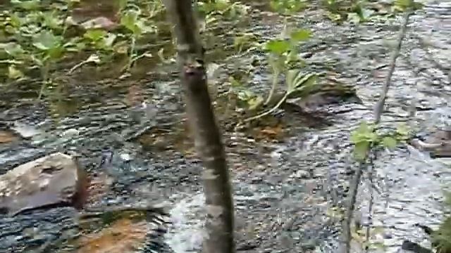 Ключ на пути к Двуглавой сопке, Таганай, 22 августа 2015 г смотреть онлайн