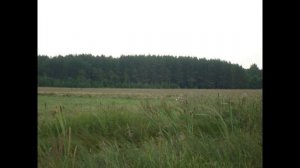 Пересыпкино фото