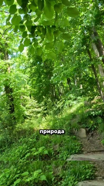 ЛУЧШИЙ ЖК В СОЧИ! смотреть онлайн